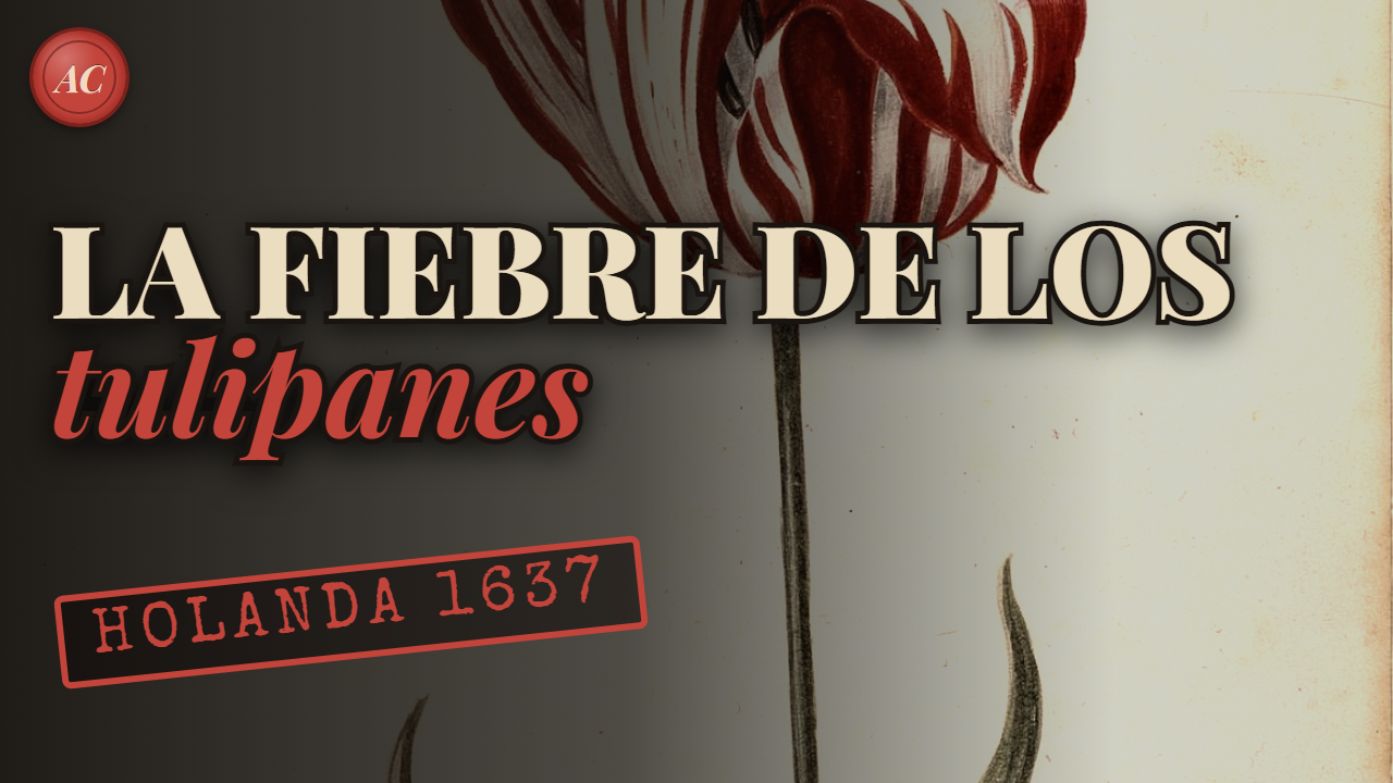 La FIEBRE DE LOS TULIPANES: la primera burbuja de la historia… ¿o un mito?